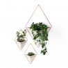 Wall Planter Trigg