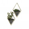 Wall Planter Trigg set of 2