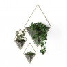 Wall Planter Trigg set of 2