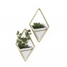 Wall Planter Trigg set of 2