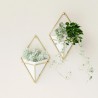 Wall Planter Trigg set of 2