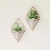 Wall Planter Trigg set of 2