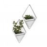 Wall Planter Trigg set of 2