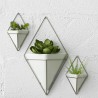 Wall Planter Trigg set of 2