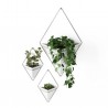 Wall Planter Trigg set of 2