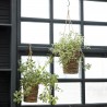 Planter Hover set of 2