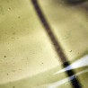 Lampe de table Matte