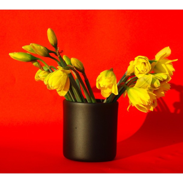 Small Black Vase Pot Design By O