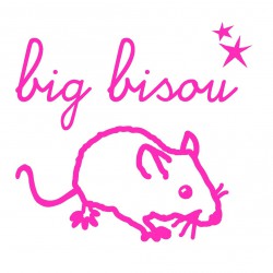 Mini Sticker Schocking Pink Big Bisou Mimilou