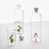 Verre Longdrink Cactus