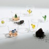 Verres Cactus lot de 6