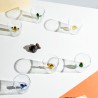 Verres Cactus lot de 6