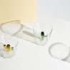 Verres Cactus lot de 6
