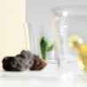 Verres Cactus lot de 6
