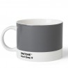 Pantone Tea Cup