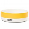 Bol Pantone