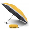 Parapluie Pantone