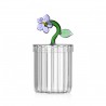 Boîte Lilas Botanica