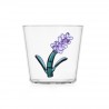 Verre Lavande Botanica
