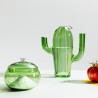Carafe Cactus pink flower Desert Plants
