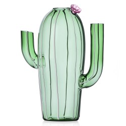 Carafe Cactus pink flower Desert Plants