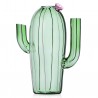 Carafe Cactus pink flower Desert Plants
