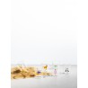 Verre Singe Savannah