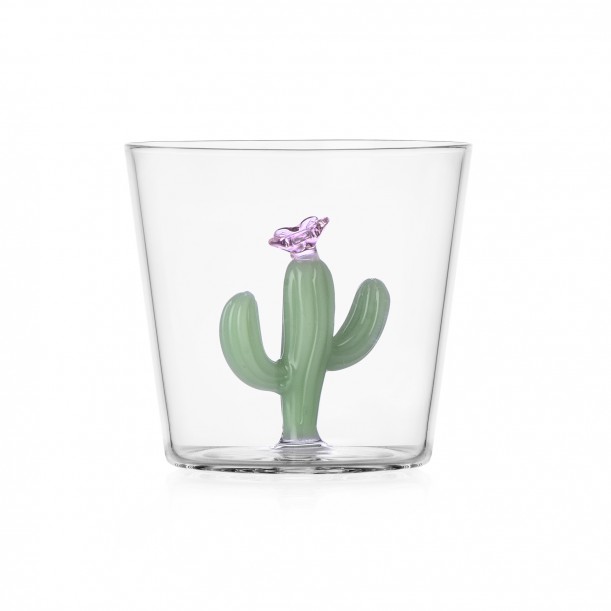 Verre Cactus Desert Plants