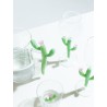 Verre Cactus Desert Plants