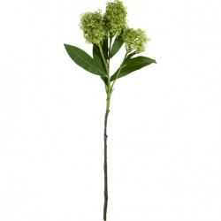 Plante artifcielle Skimmia