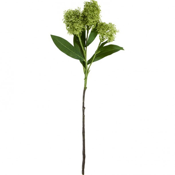 Plante artifcielle Skimmia