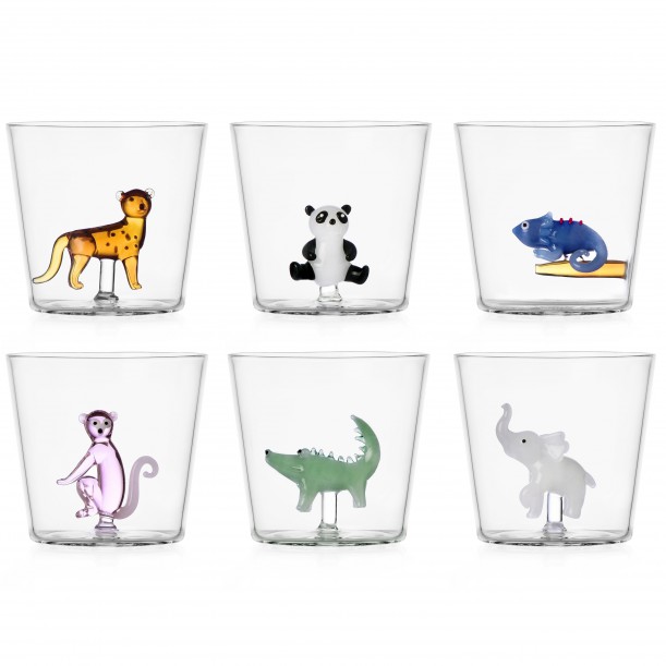 Lot de 6 verres Savannah