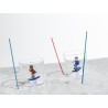 Verre squirrel and skiing Snow Game