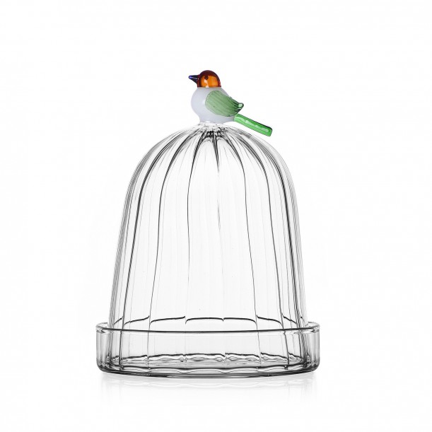 Dôme Bird dia 11 cm