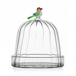 Dôme Bird dia 14 cm