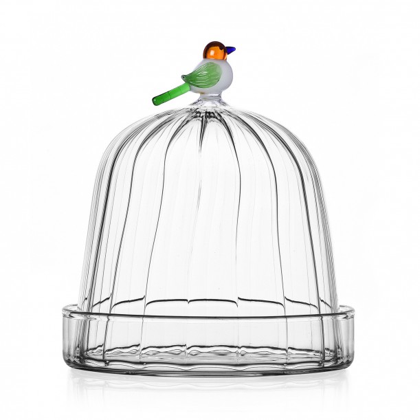 Dôme Bird dia 14 cm