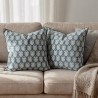 Housse de coussin Aster