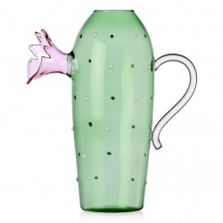 Carafe cactus pink flower Desert Plant