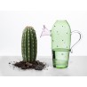 Carafe cactus pink flower Desert Plant