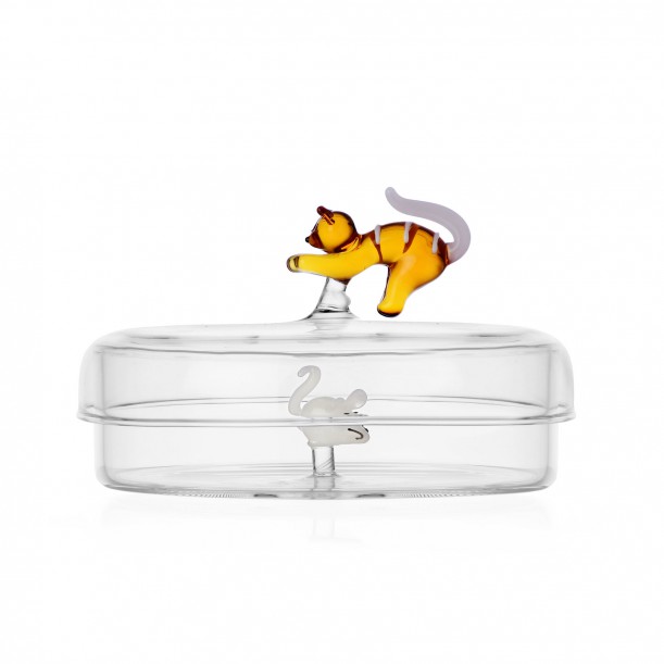 Boite Chat Tabby Cat