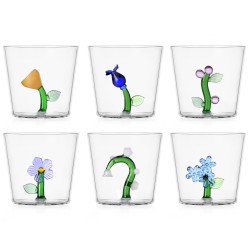 Lot de 6 verres Savannah
