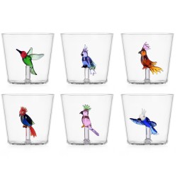 Lot de 6 verres Savannah