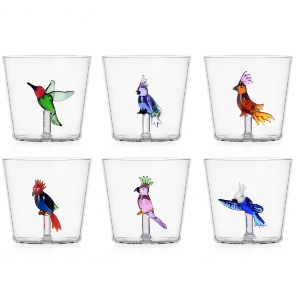 Lot de 6 verres Savannah