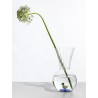 Vase canard Animal Farm