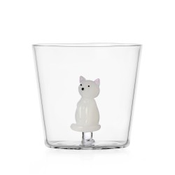 Verre sitting white cat TabbyCat