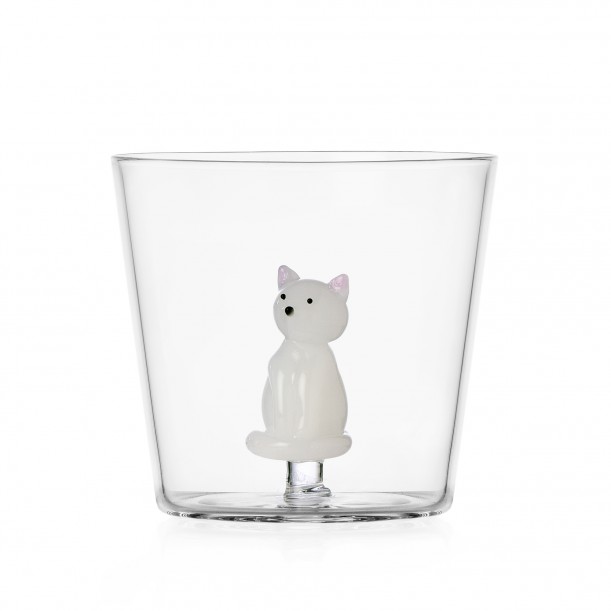 Verre sitting white cat TabbyCat
