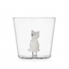 Verre sitting white cat TabbyCat