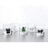 Verre sitting black cat TabbyCat