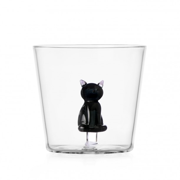 Verre sitting black cat TabbyCat