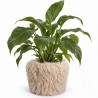 Planter cover Shaggy M